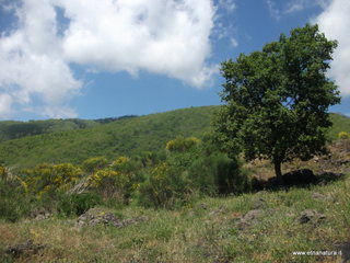 ano dell Acqua-26-05-2013 11-19-55